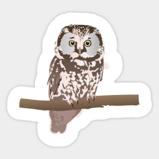 Owl Bird Sticker